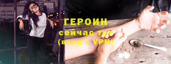 гашик Гусев