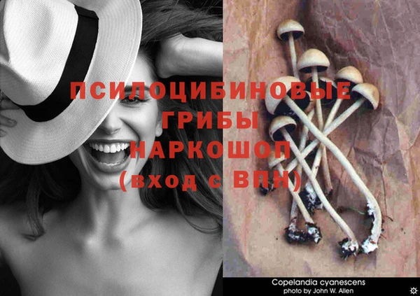 ECSTASY Гусь-Хрустальный