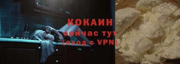 ECSTASY Гусь-Хрустальный