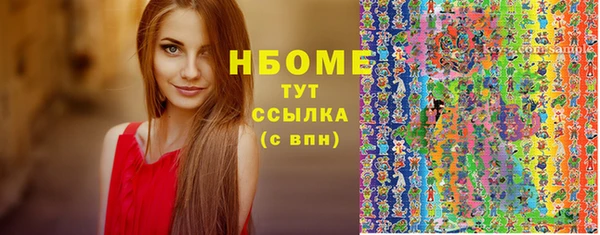 ECSTASY Гусь-Хрустальный