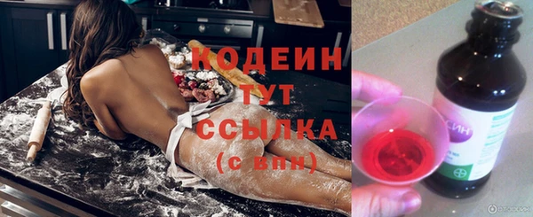 ECSTASY Гусь-Хрустальный