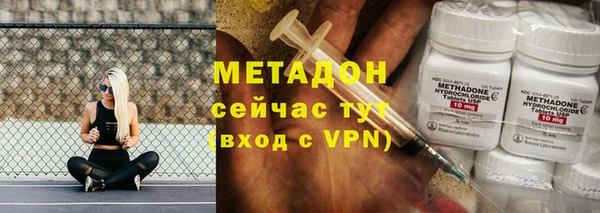 гашик Гусев