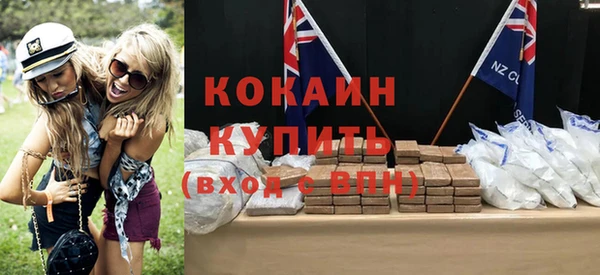 гашик Гусев
