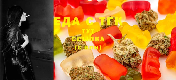 ECSTASY Гусь-Хрустальный