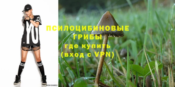 Альфа ПВП Кондопога