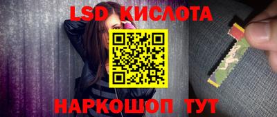 гидра Заволжье