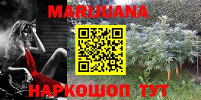гидра Заволжье