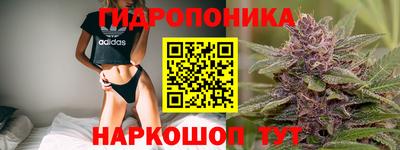 мяу мяу мука Аргун