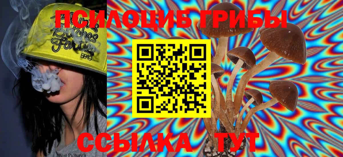 Галлюциногенные грибы Psilocybe Можга