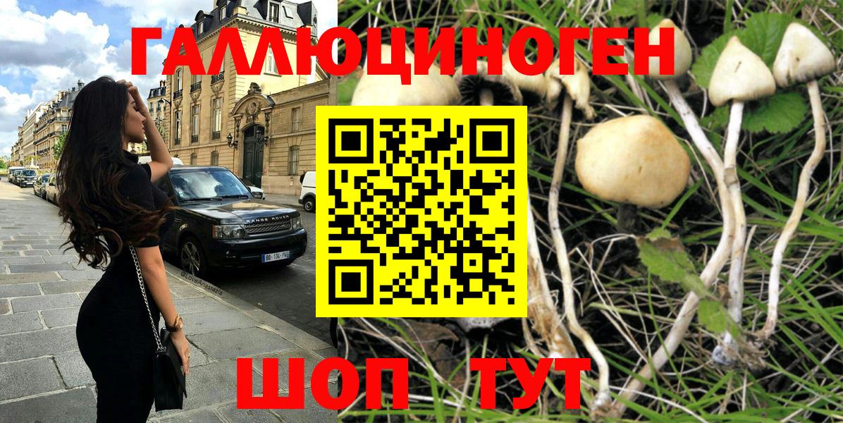 Псилоцибиновые грибы прущие грибы Можга