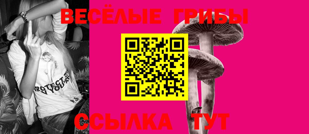 Галлюциногенные грибы Magic Shrooms  Можга 