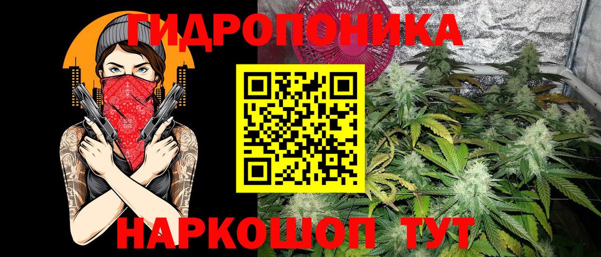 Конопля план  Можга  Шишки марихуана THC 21%  Марихуана конопля 